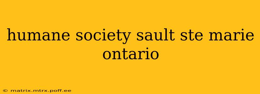 humane society sault ste marie ontario