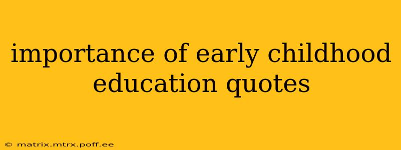 importance of early childhood education quotes