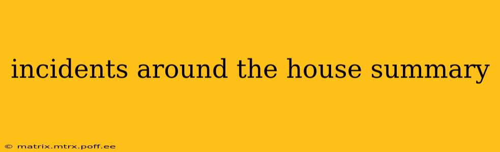 incidents around the house summary