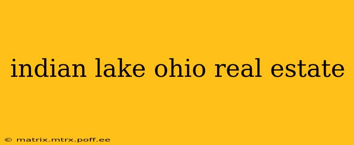 indian lake ohio real estate