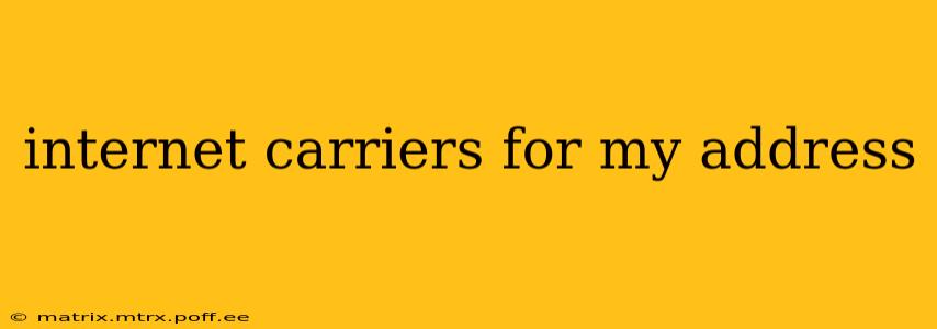 internet carriers for my address