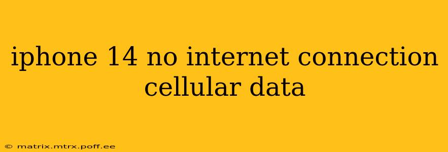 iphone 14 no internet connection cellular data