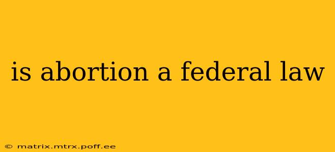 is abortion a federal law