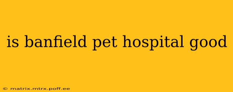 is banfield pet hospital good