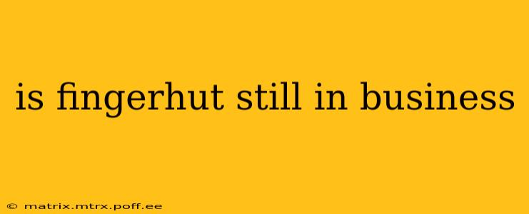 is fingerhut still in business