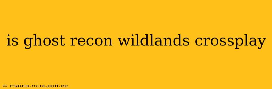 is ghost recon wildlands crossplay
