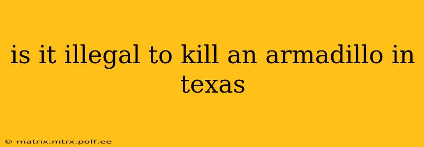 is it illegal to kill an armadillo in texas