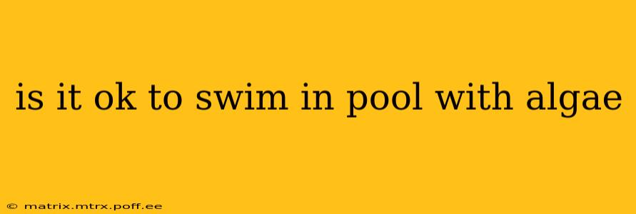 is it ok to swim in pool with algae