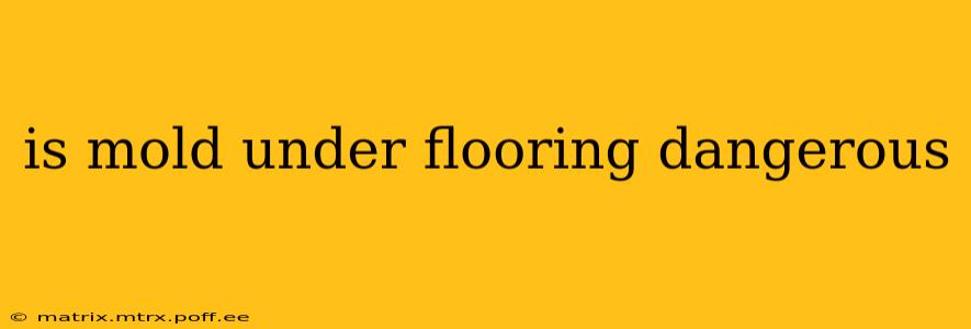 is mold under flooring dangerous