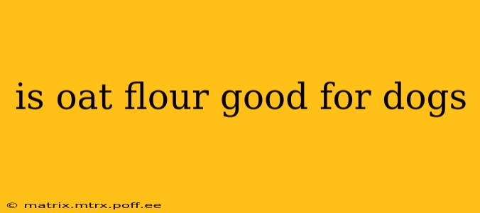 is oat flour good for dogs