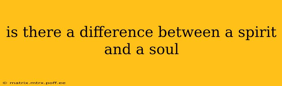 is there a difference between a spirit and a soul