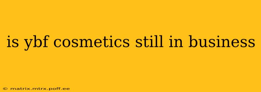 is ybf cosmetics still in business