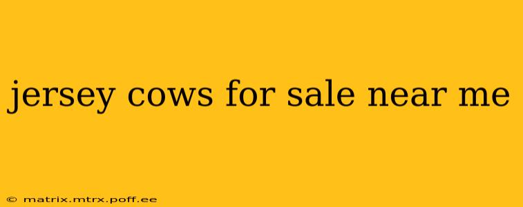 jersey cows for sale near me