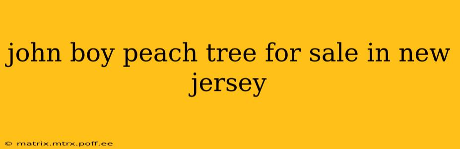 john boy peach tree for sale in new jersey