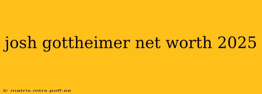 josh gottheimer net worth 2025