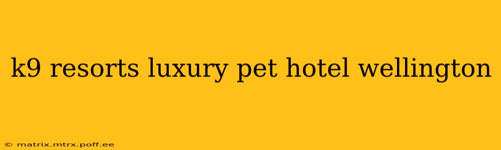 k9 resorts luxury pet hotel wellington