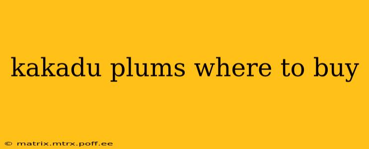 kakadu plums where to buy