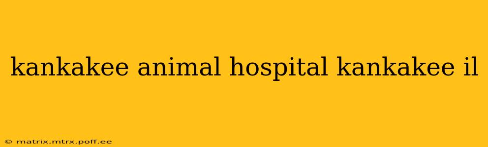 kankakee animal hospital kankakee il
