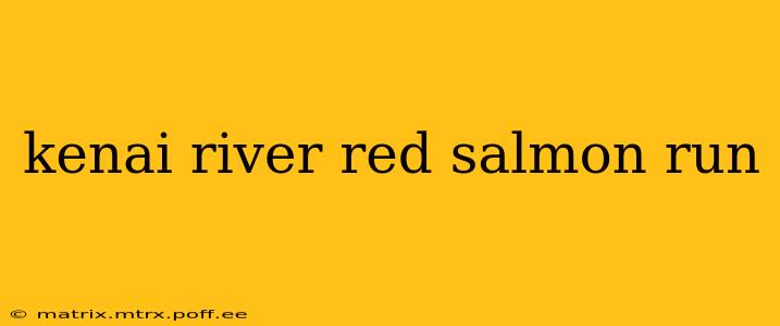 kenai river red salmon run