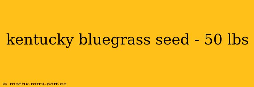 kentucky bluegrass seed - 50 lbs