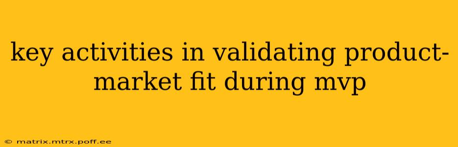 key activities in validating product-market fit during mvp