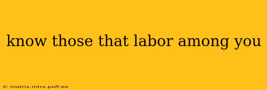 know those that labor among you