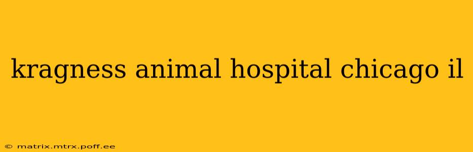 kragness animal hospital chicago il