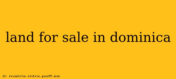 land for sale in dominica