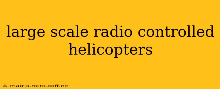 large scale radio controlled helicopters