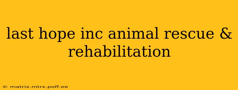 last hope inc animal rescue & rehabilitation
