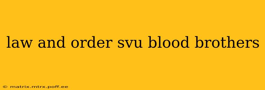 law and order svu blood brothers
