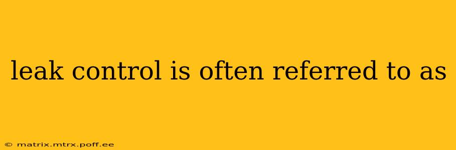 leak control is often referred to as