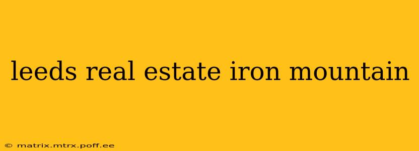 leeds real estate iron mountain