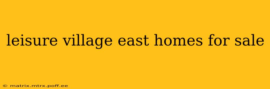 leisure village east homes for sale