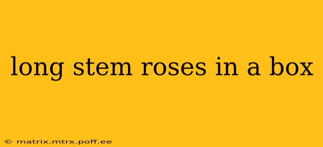 long stem roses in a box