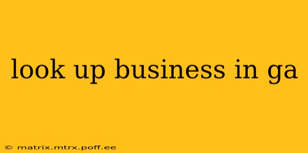 look up business in ga