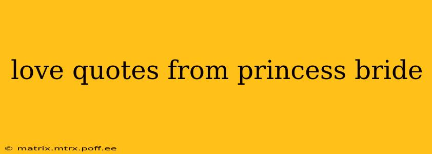 love quotes from princess bride