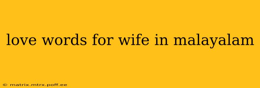 love words for wife in malayalam