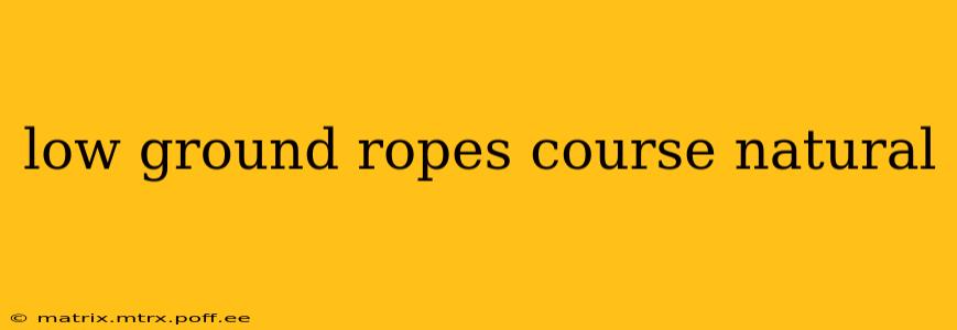 low ground ropes course natural