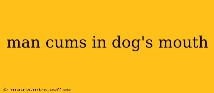 man cums in dog's mouth man cums in dog's mouth