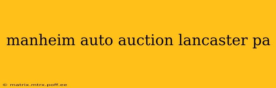 manheim auto auction lancaster pa