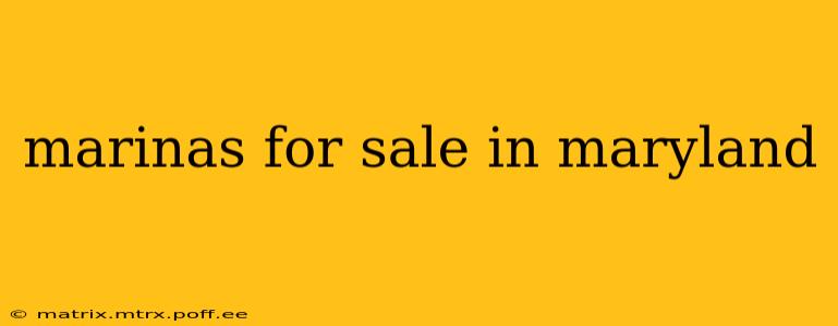 marinas for sale in maryland
