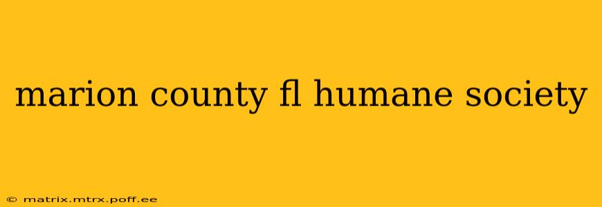 marion county fl humane society