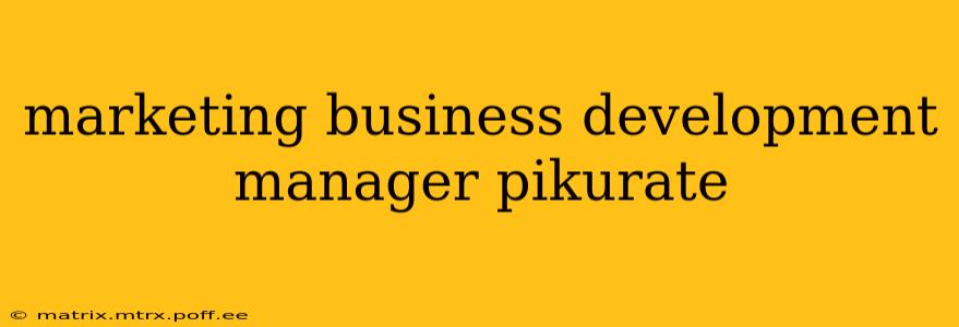 marketing business development manager pikurate