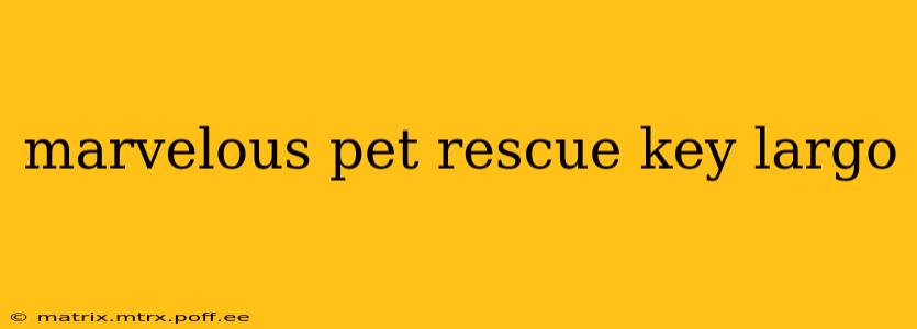 marvelous pet rescue key largo