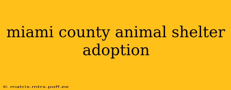 miami county animal shelter adoption