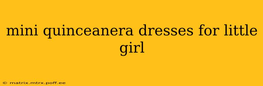 mini quinceanera dresses for little girl