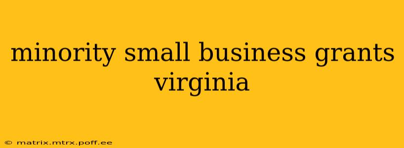 minority small business grants virginia