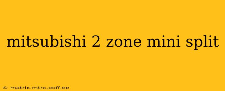 mitsubishi 2 zone mini split