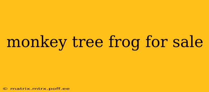 monkey tree frog for sale